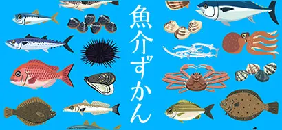 魚介ずかん