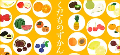 くだものずかん