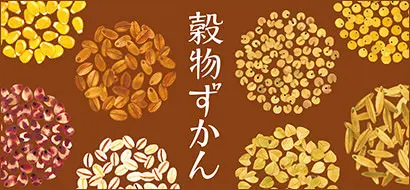 穀物ずかん