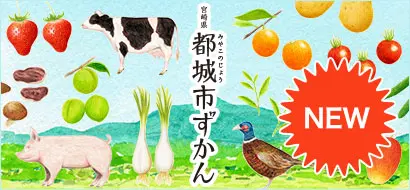 都城市ずかん