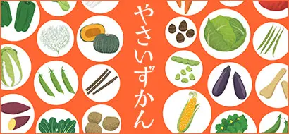 やさいずかん