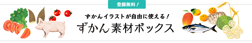 ずかん素材ボックス