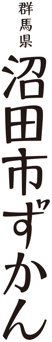 沼田市ずかん春夏秋冬