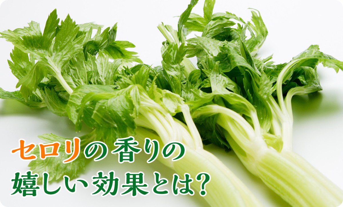 celery_1260px_2