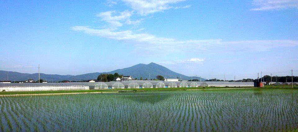 田植え体験　茨城県大嶋農場×ごはん生活研究所