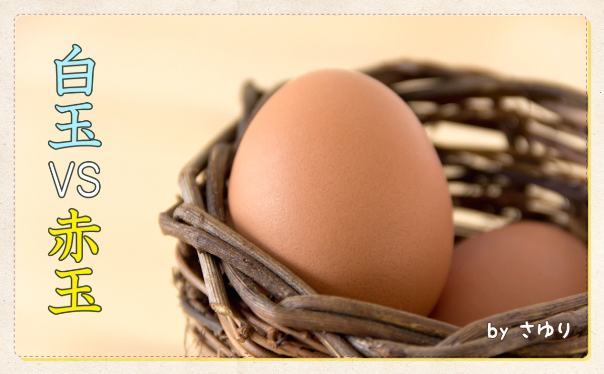 〈食育まめ知識〉白玉VS赤玉・・・どっちの卵が美味しいの？？