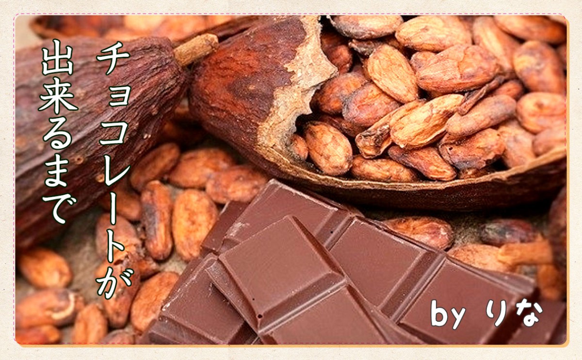 これから来る！？「BEAN TO BAR」て何？