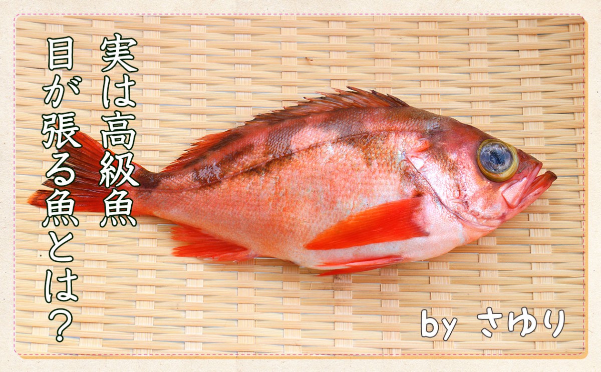 高級魚になりつつある「目が張ってる魚」って？