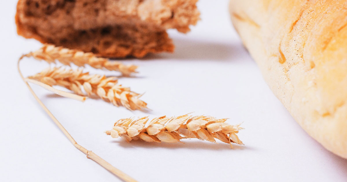 の 小麦 違い と 大麦 大麦豆知識（大麦の歴史・構造・種類と用途）