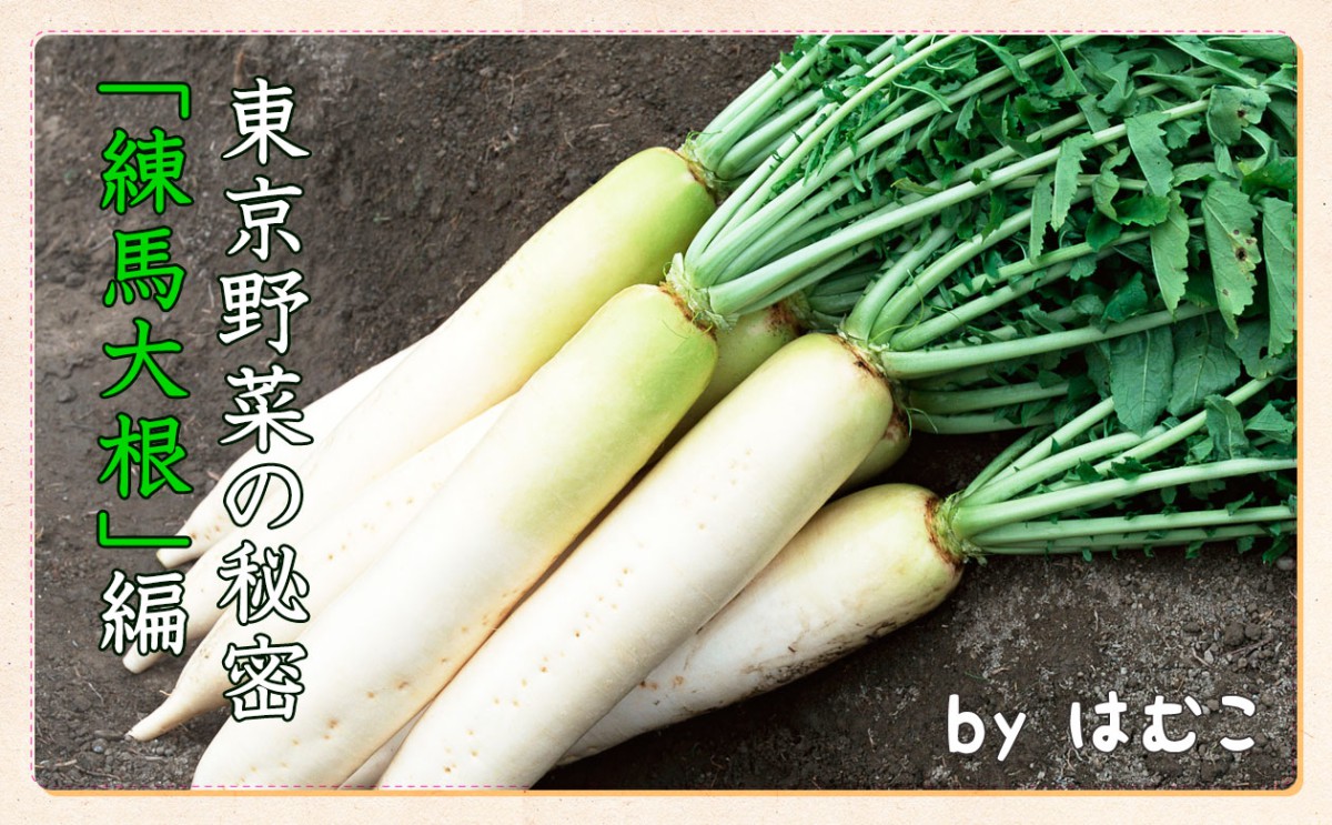 東京野菜の秘密練馬大根編