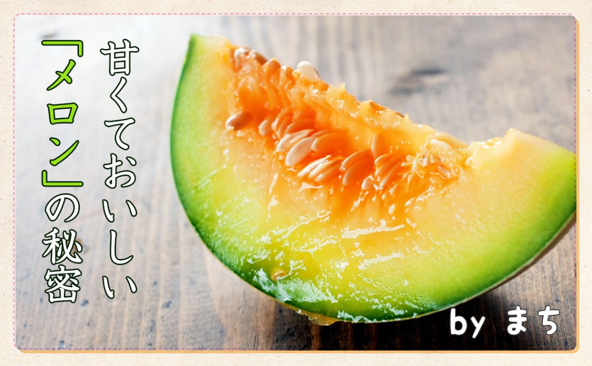 野菜 果物 甘くておいしい メロン の秘密 一般財団法人 日本educe食育総合研究所