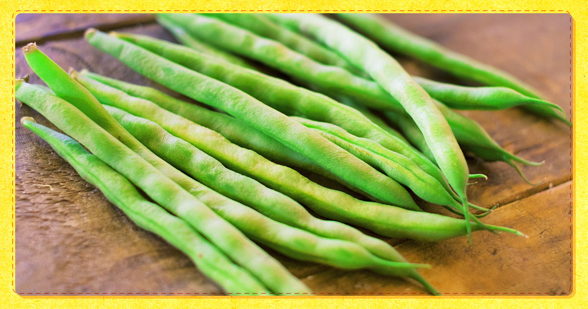 豆類と野菜の種類