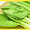 茎は淡色、葉は緑「チンゲン菜」は淡色野菜？緑黄色野菜？