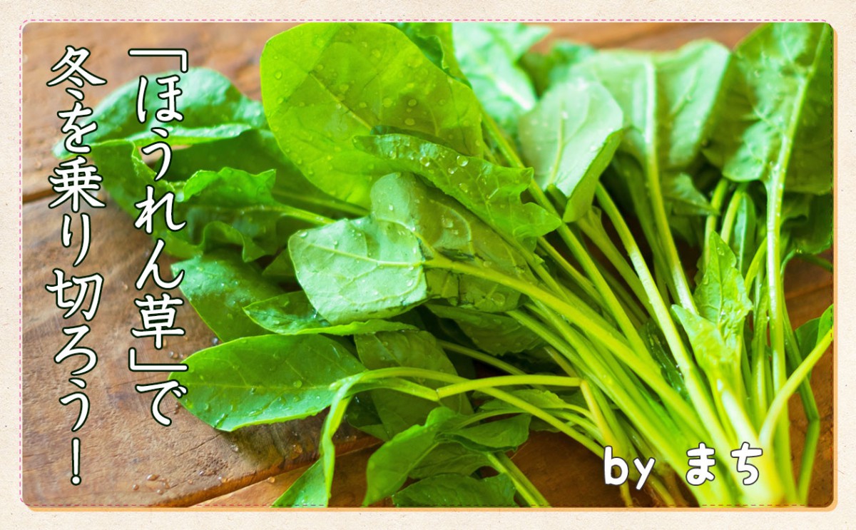 緑黄色野菜の代表 ほうれん草 を食べて元気に冬を乗り切ろう 一般財団法人 日本educe食育総合研究所