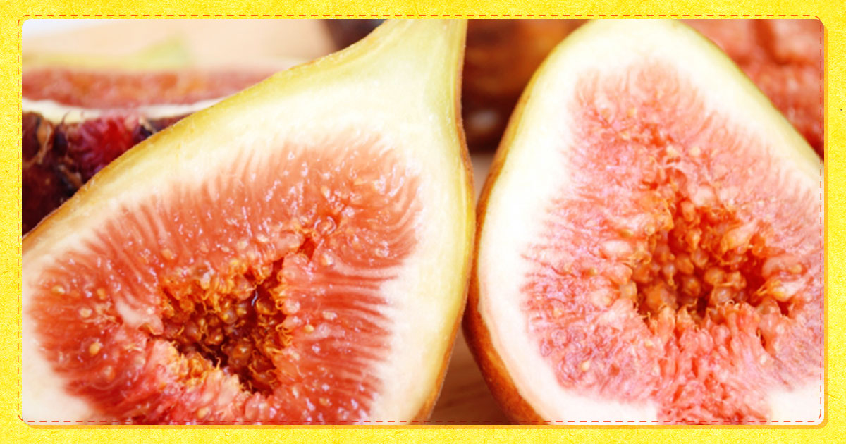 プチプチ食感がクセになる イチジク が美味しい季節です 一般財団法人 日本educe食育総合研究所