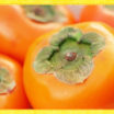 秋の味覚の代表格！栄養たっぷりの「柿」を食べよう☆