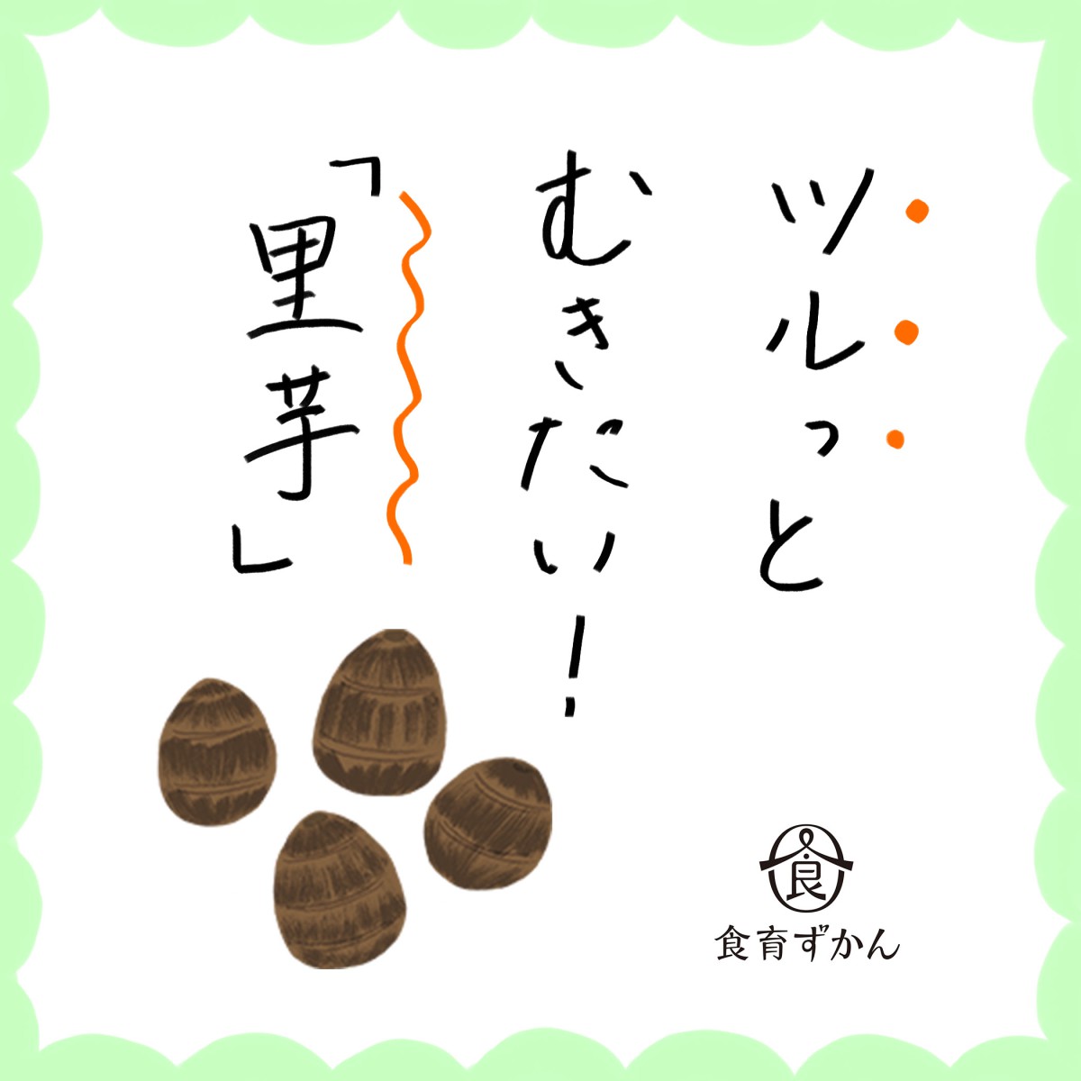 女性の大敵 むくみ を撃退してくれる 里芋 の季節がやってきた 一般財団法人 日本educe食育総合研究所
