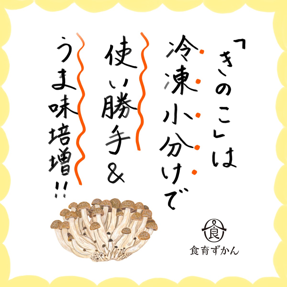 色 形 食感もさまざま 奥が深い きのこ を楽しもう 一般財団法人 日本educe食育総合研究所