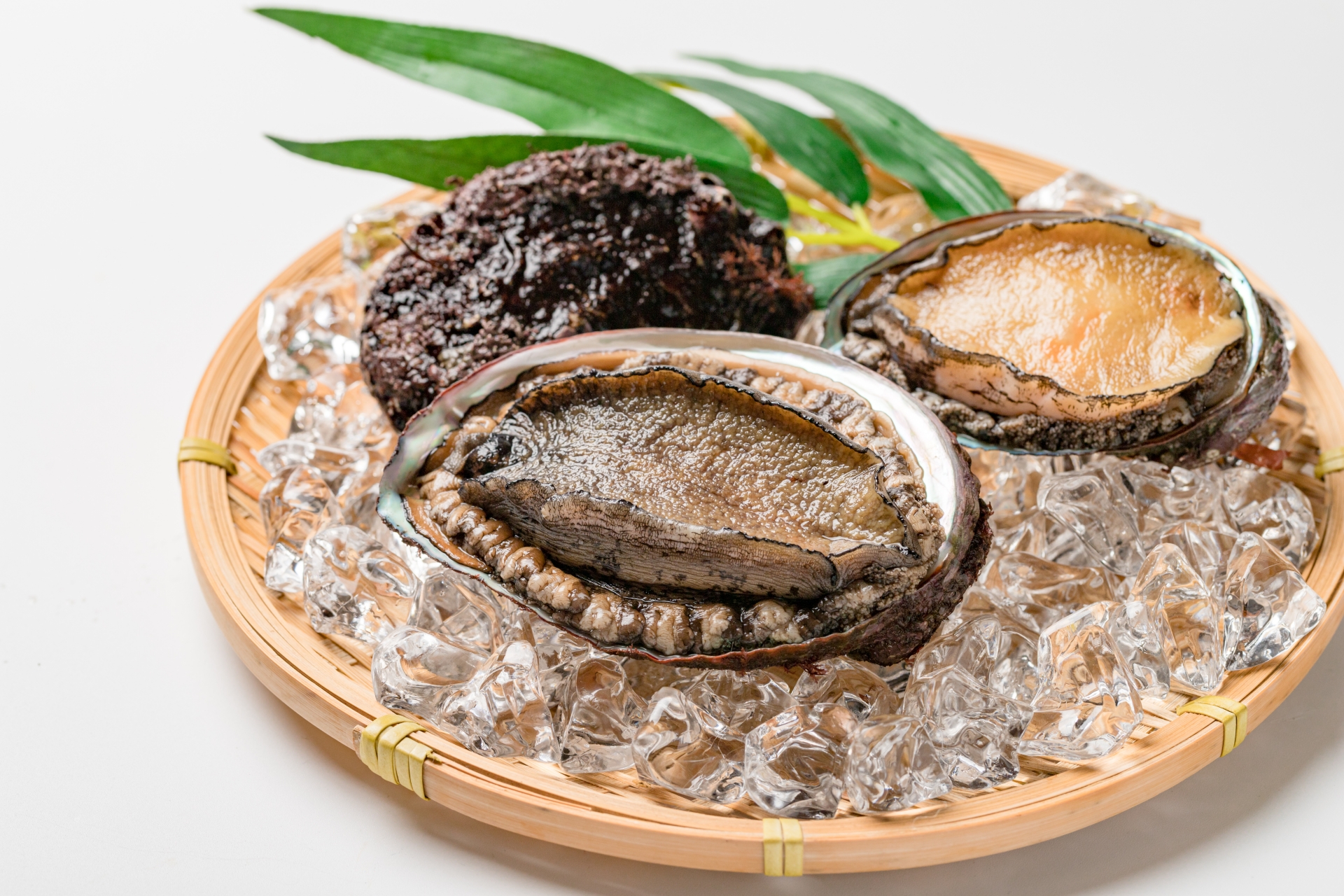 貝の王様 アワビ 今がおいしい季節です 一般財団法人 日本educe食育総合研究所