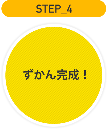 STEP4 ずかん完成