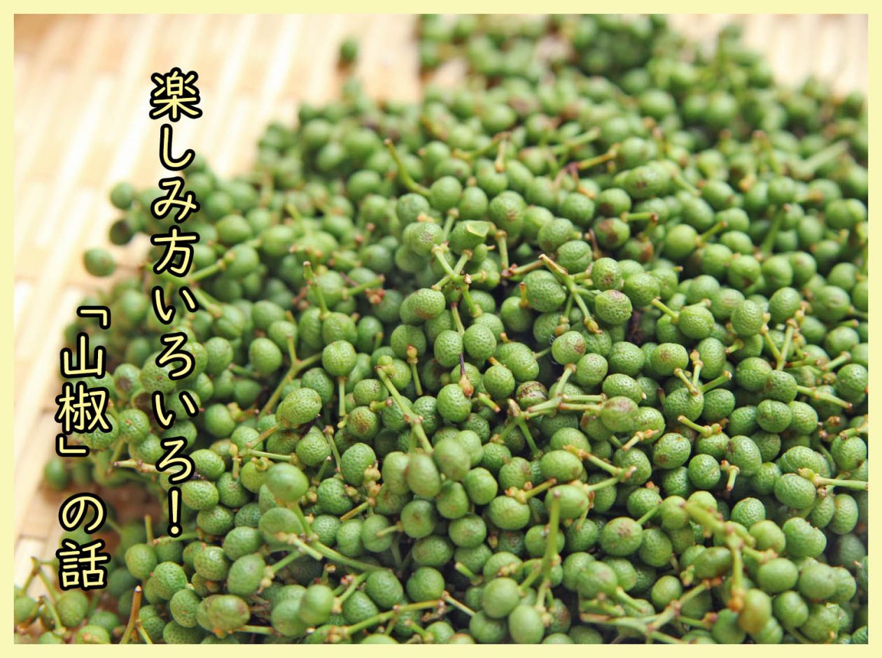 爽やかな香りとしびれる辛みが魅力の 山椒 の話 一般財団法人 日本educe食育総合研究所