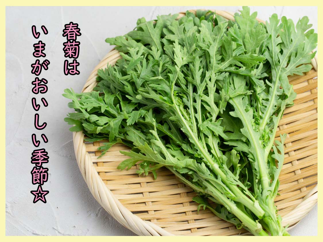 鍋料理だけじゃない どんな料理にも合う 春菊 は今がおいしい季節 一般財団法人 日本educe食育総合研究所