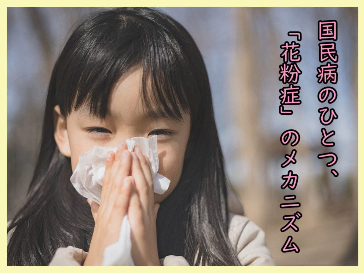 対策は万全 花粉症と食べ物の関係に迫る 一般財団法人 日本educe食育総合研究所