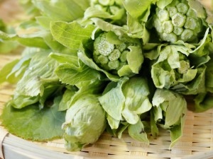 春の味覚、「山菜」を食べよう！