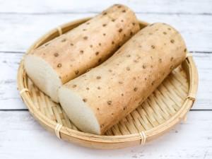 シャキシャキ、ホクホクの「長芋」を食べよう！