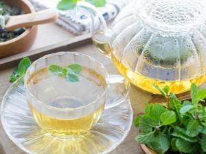 爽やかな香りで気分もリフレッシュ！「ミント」の話