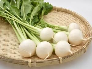 やってみよう！家庭菜園～カブ作りに挑戦～
