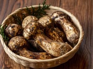 秋の味覚！香り豊かなマツタケをおいしく食べよう